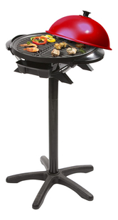 Achat Barbecue Electrique Grill Portable Pas Cher Collishop