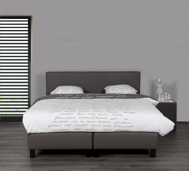 Vaste Boxspring Winston Lederlook Taupe