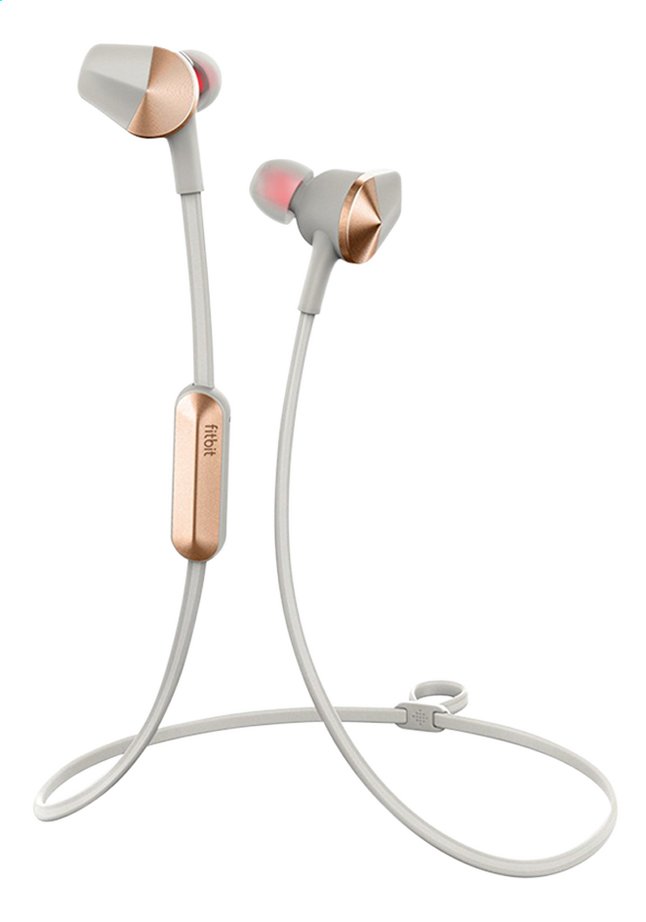 Fitbit Oortelefoon Bluetooth Flyer Lunar Silver