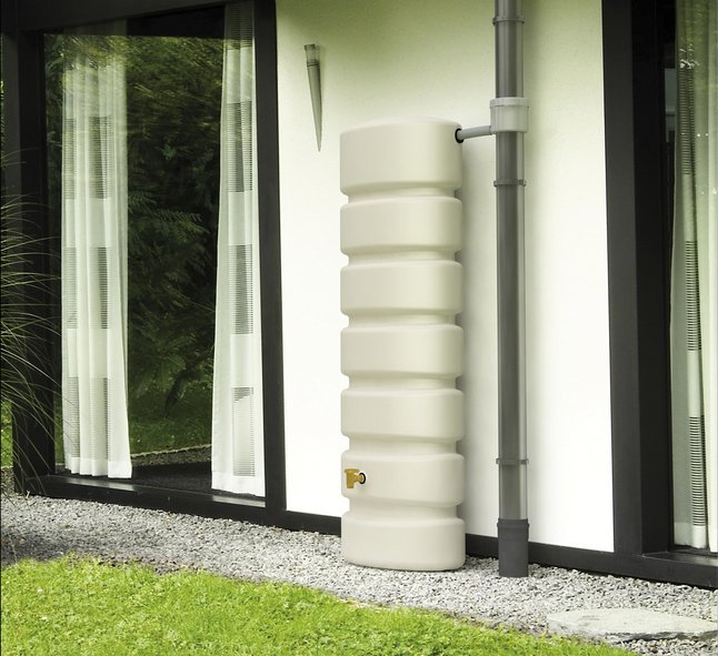 Regenton Collishop Tuinadvies