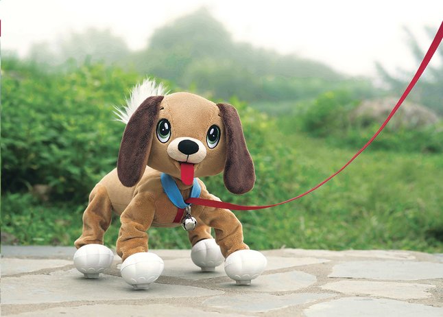 chien toufou pas cher