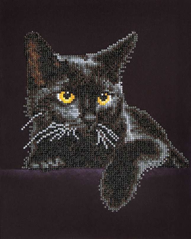 Diamond Dotz Midnight Cat Pas Cher A Prix Discount