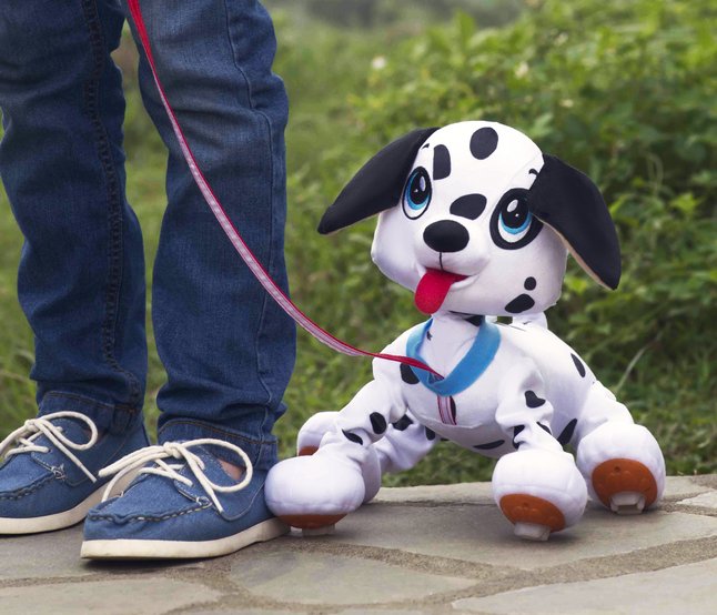 les toufous chien dalmatien